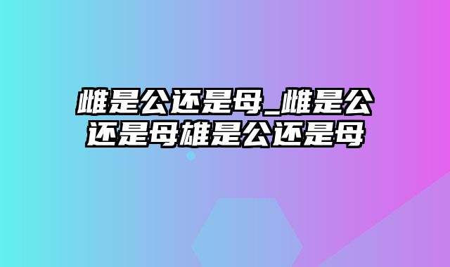 雌是公还是母_雌是公还是母雄是公还是母