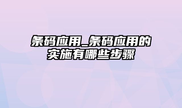 条码应用_条码应用的实施有哪些步骤