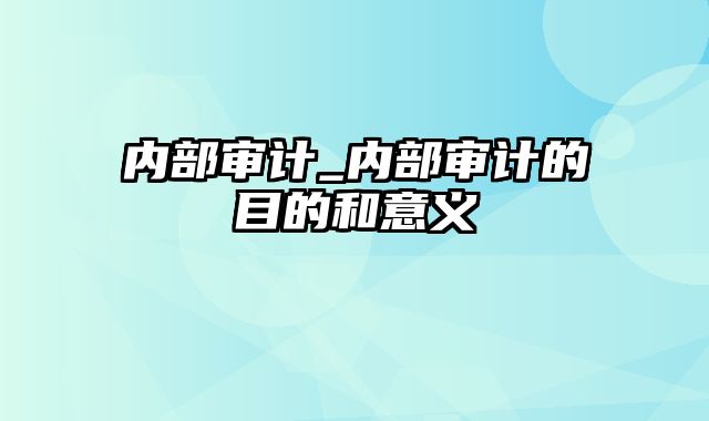 内部审计_内部审计的目的和意义