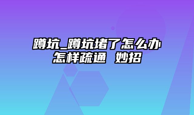 蹲坑_蹲坑堵了怎么办怎样疏通 妙招