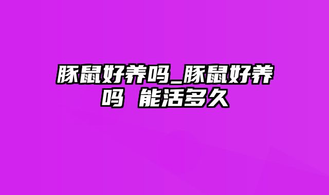 豚鼠好养吗_豚鼠好养吗 能活多久