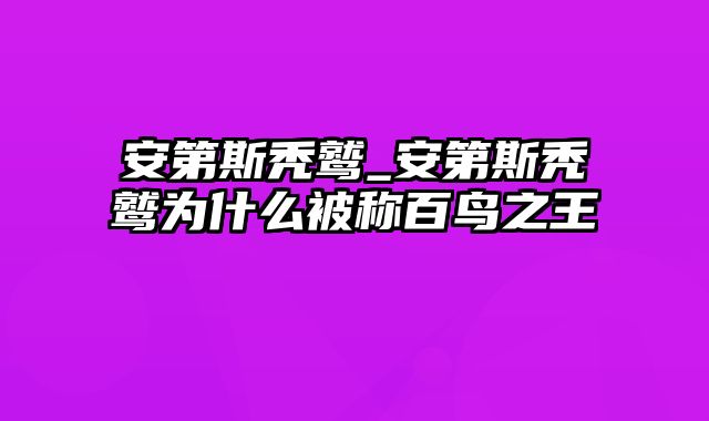 安第斯秃鹫_安第斯秃鹫为什么被称百鸟之王