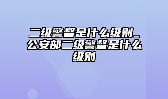 二级警督是什么级别_公安部二级警督是什么级别