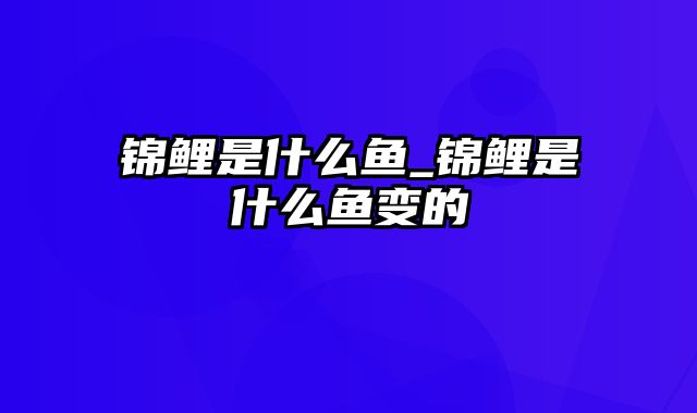 锦鲤是什么鱼_锦鲤是什么鱼变的