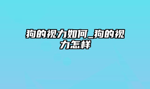 狗的视力如何_狗的视力怎样