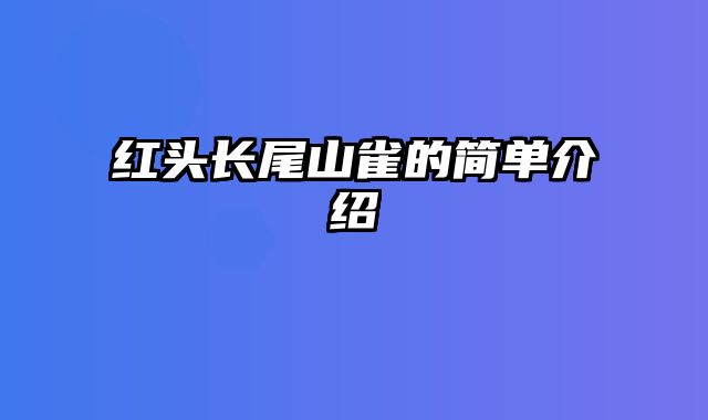 红头长尾山雀的简单介绍