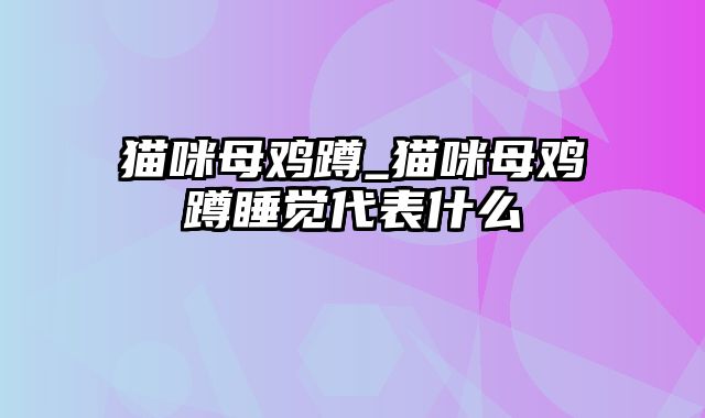 猫咪母鸡蹲_猫咪母鸡蹲睡觉代表什么