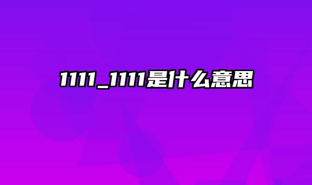 1111_1111是什么意思