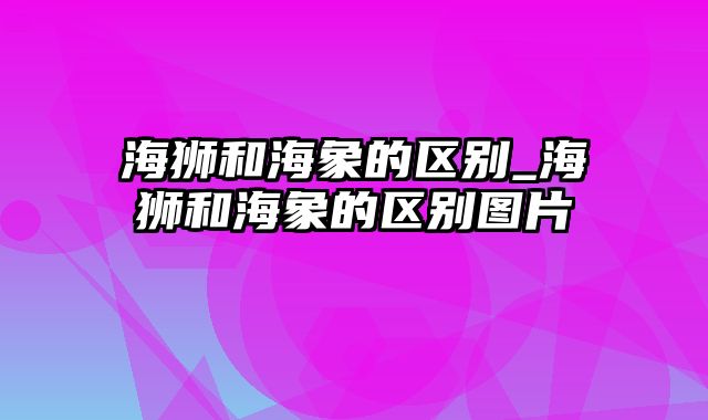 海狮和海象的区别_海狮和海象的区别图片