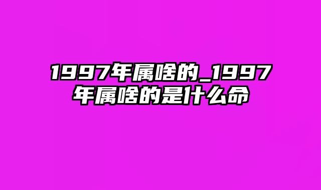 1997年属啥的_1997年属啥的是什么命