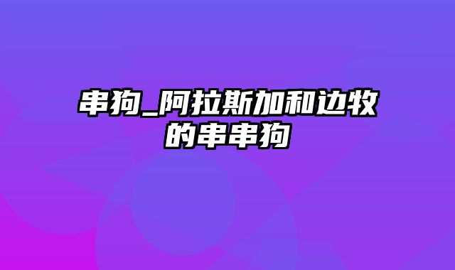 串狗_阿拉斯加和边牧的串串狗