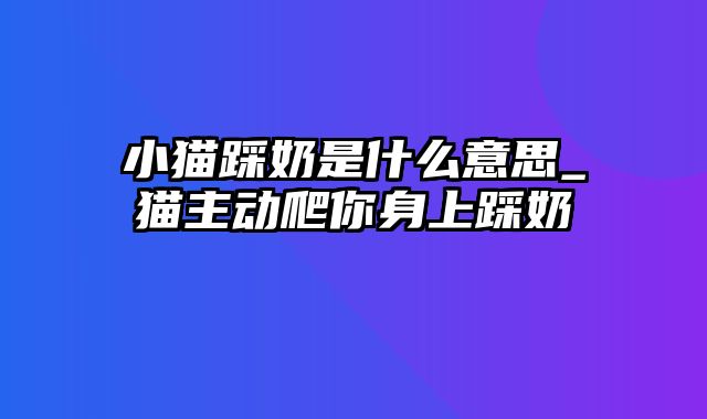 小猫踩奶是什么意思_猫主动爬你身上踩奶