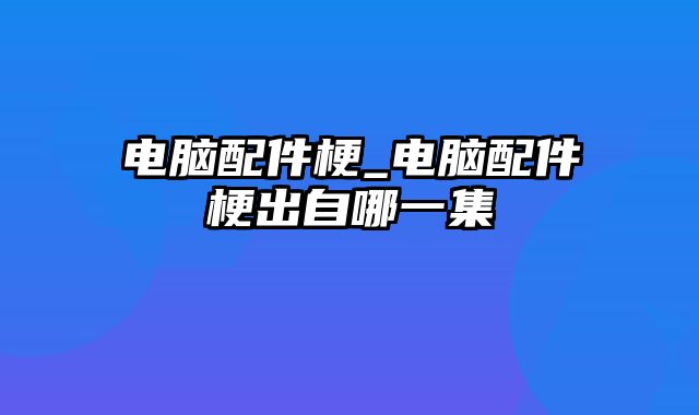 电脑配件梗_电脑配件梗出自哪一集