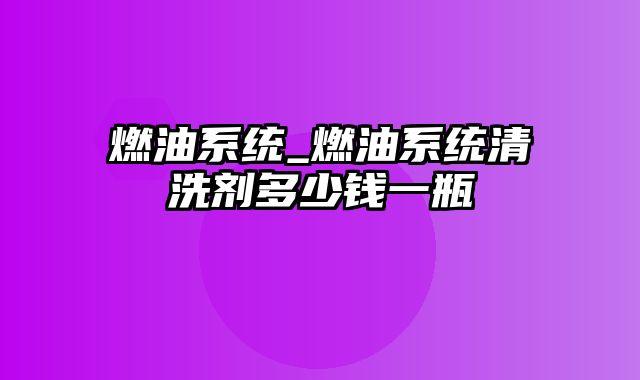 燃油系统_燃油系统清洗剂多少钱一瓶