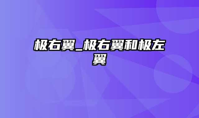 极右翼_极右翼和极左翼