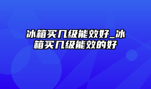 冰箱买几级能效好_冰箱买几级能效的好