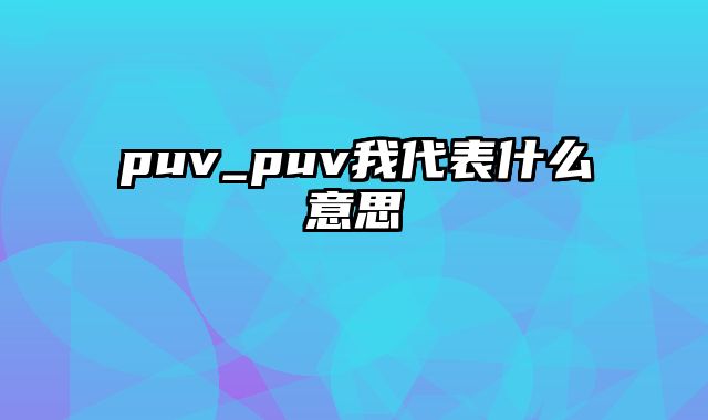 puv_puv我代表什么意思