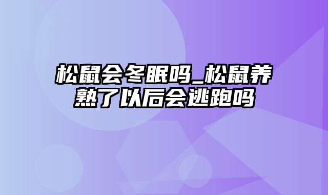 松鼠会冬眠吗_松鼠养熟了以后会逃跑吗