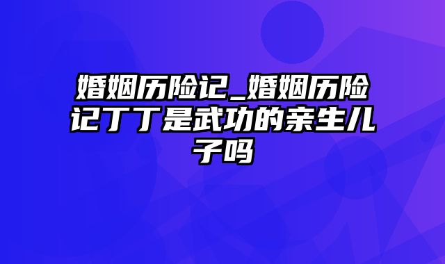 婚姻历险记_婚姻历险记丁丁是武功的亲生儿子吗