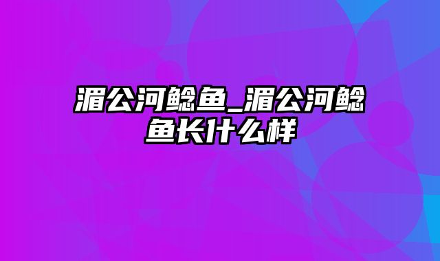 湄公河鲶鱼_湄公河鲶鱼长什么样