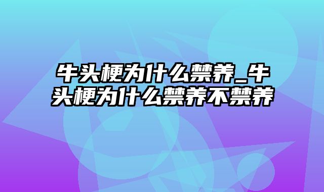 牛头梗为什么禁养_牛头梗为什么禁养不禁养