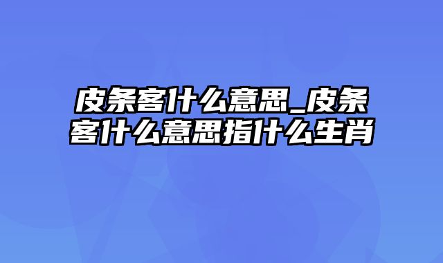 皮条客什么意思_皮条客什么意思指什么生肖