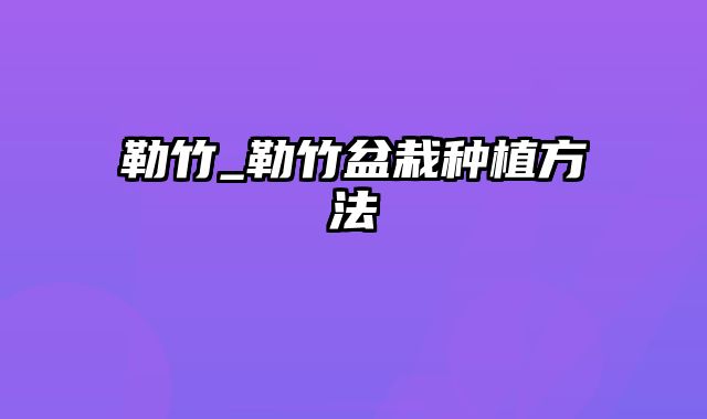 勒竹_勒竹盆栽种植方法