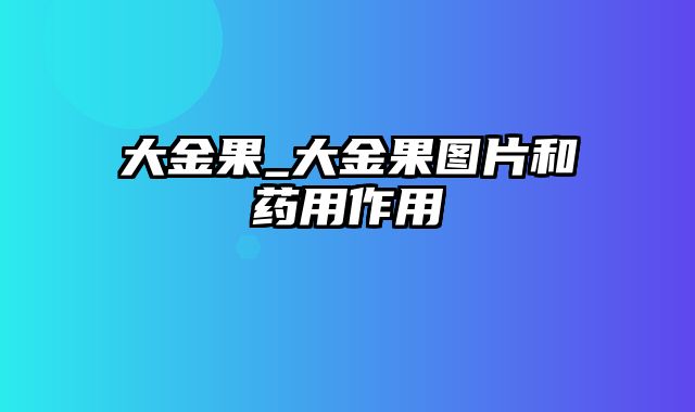 大金果_大金果图片和药用作用