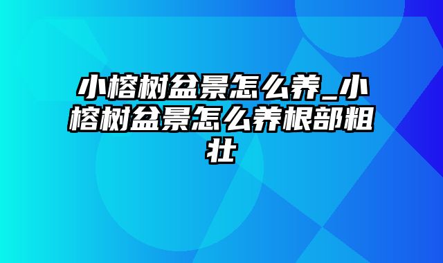 小榕树盆景怎么养_小榕树盆景怎么养根部粗壮