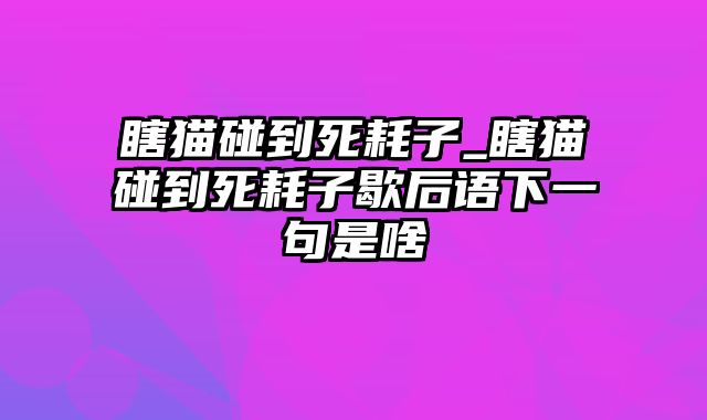 瞎猫碰到死耗子_瞎猫碰到死耗子歇后语下一句是啥