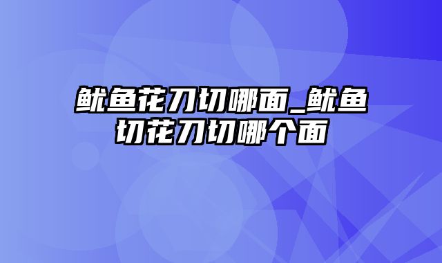 鱿鱼花刀切哪面_鱿鱼切花刀切哪个面