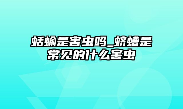 蛞蝓是害虫吗_蛴螬是常见的什么害虫