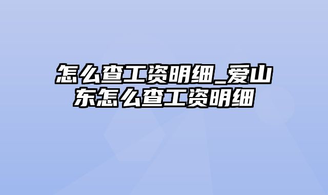 怎么查工资明细_爱山东怎么查工资明细