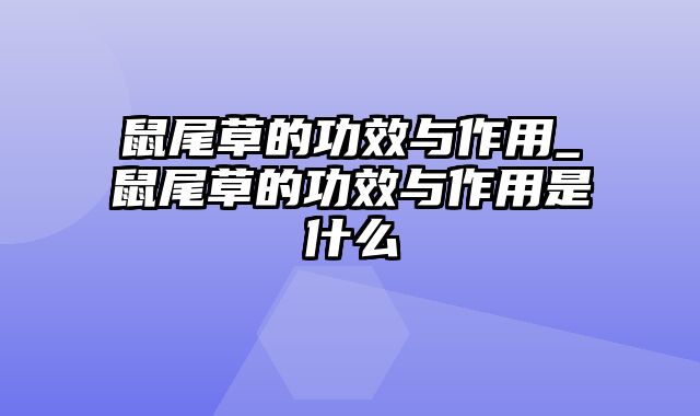 鼠尾草的功效与作用_鼠尾草的功效与作用是什么