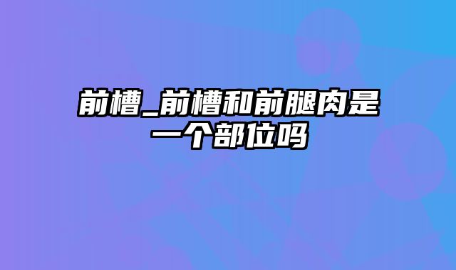 前槽_前槽和前腿肉是一个部位吗