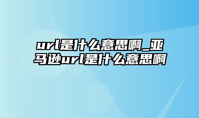 url是什么意思啊_亚马逊url是什么意思啊