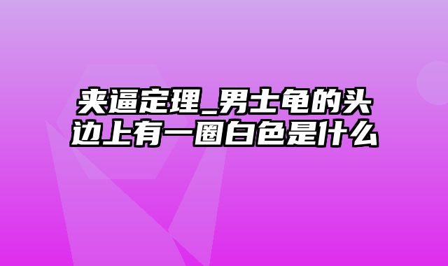 夹逼定理_男士龟的头边上有一圈白色是什么