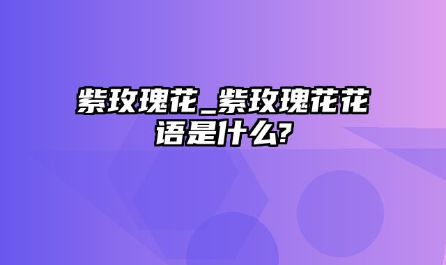 紫玫瑰花_紫玫瑰花花语是什么?