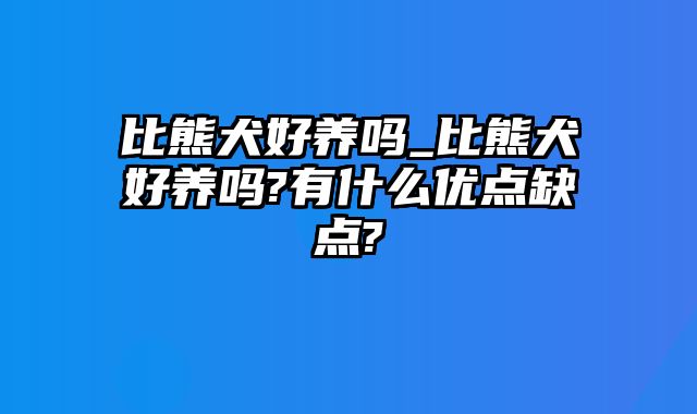 比熊犬好养吗_比熊犬好养吗?有什么优点缺点?