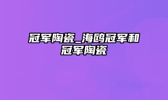 冠军陶瓷_海鸥冠军和冠军陶瓷