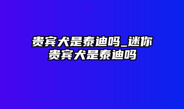 贵宾犬是泰迪吗_迷你贵宾犬是泰迪吗