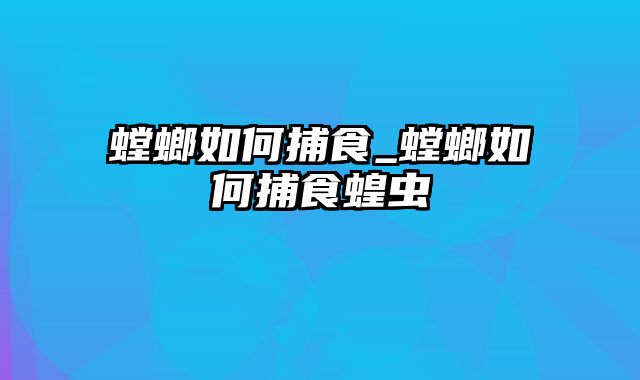 螳螂如何捕食_螳螂如何捕食蝗虫