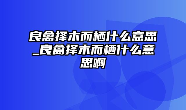 良禽择木而栖什么意思_良禽择木而栖什么意思啊