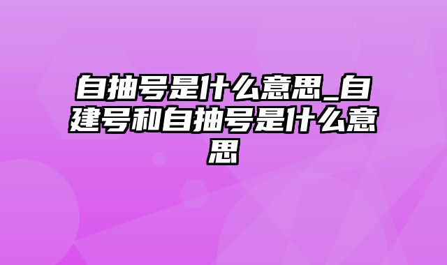 自抽号是什么意思_自建号和自抽号是什么意思