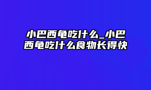 小巴西龟吃什么_小巴西龟吃什么食物长得快