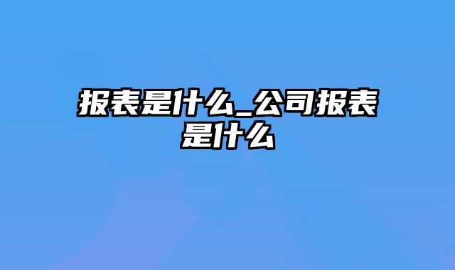 报表是什么_公司报表是什么