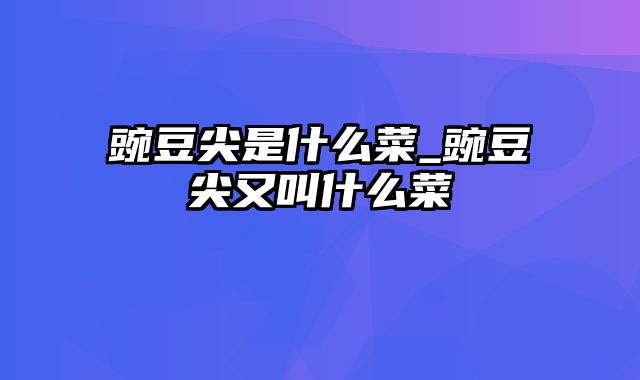 豌豆尖是什么菜_豌豆尖又叫什么菜