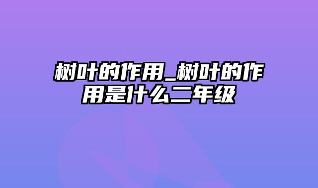 树叶的作用_树叶的作用是什么二年级