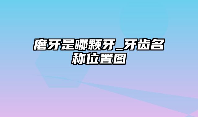 磨牙是哪颗牙_牙齿名称位置图