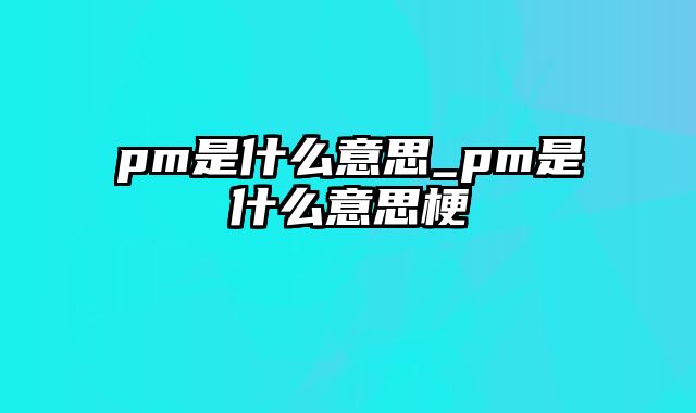 pm是什么意思_pm是什么意思梗